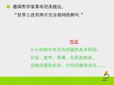 苏教版八年级下册生物 22.5生物的变异 课件