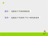 苏教版八年级下册生物 22.5生物的变异 课件
