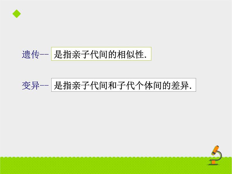 苏教版八年级下册生物 22.5生物的变异 课件第4页