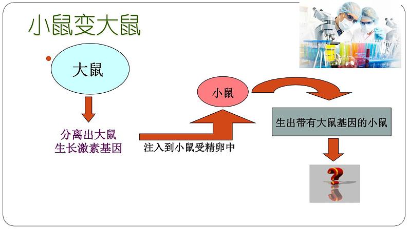 苏教版八年级下册生物 24.1现代生物技术的应用 课件第4页