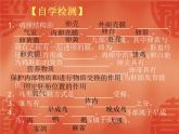 苏教版八年级下册生物 21.5鸟类的生殖与发育 课件
