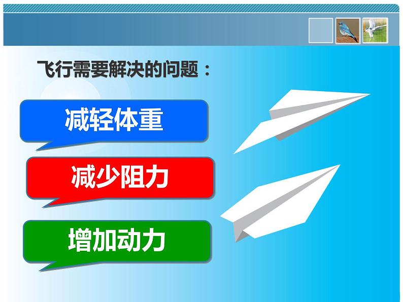 苏科版七年级下册生物 12.1鸟类 课件第6页