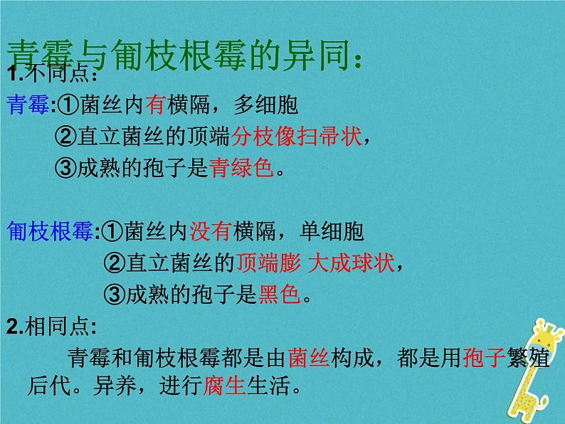 苏科版七年级下册生物 14.1生物的命名和分类 课件第1页