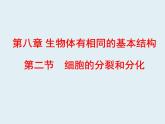 苏科版七年级下册生物 8.2细胞的分裂和分化 课件
