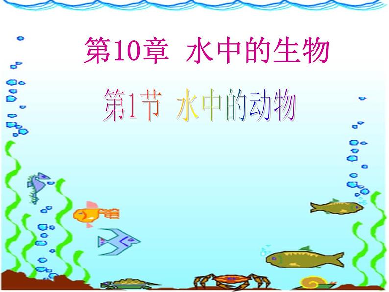 苏科版七年级下册生物 10.1水中的动物 课件第1页