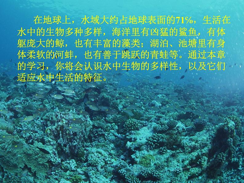 苏科版七年级下册生物 10.1水中的动物 课件第2页
