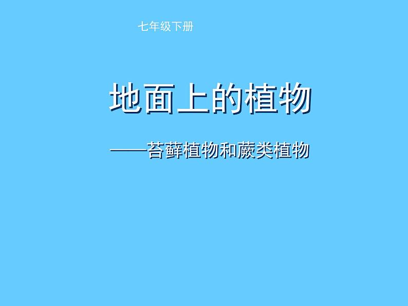 苏科版七年级下册生物 11.1地面上的植物 课件01