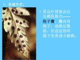 蘇科版七年級(jí)下冊(cè)生物 11.1地面上的植物 課件