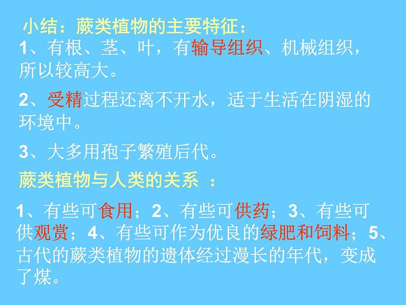 苏科版七年级下册生物 11.1地面上的植物 课件08