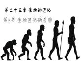 苏科版八年级下册生物 23.3生物进化的原因 课件