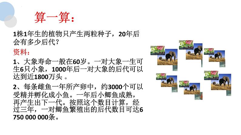 苏科版八年级下册生物 23.3生物进化的原因 课件第8页