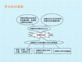 苏教版八年级生物上册 第十八章 动物的行为 复习 课件