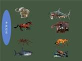 苏教版八年级生物上册 16.3 生物进化的学说 课件