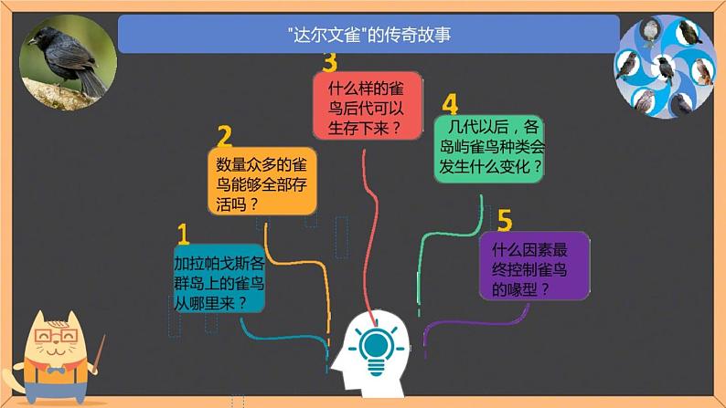 苏教版八年级生物上册 16.3 生物进化的学说 课件05