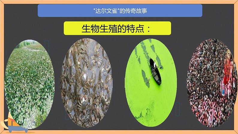 苏教版八年级生物上册 16.3 生物进化的学说 课件07