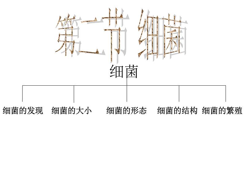 5.4.2细菌课件PPT02