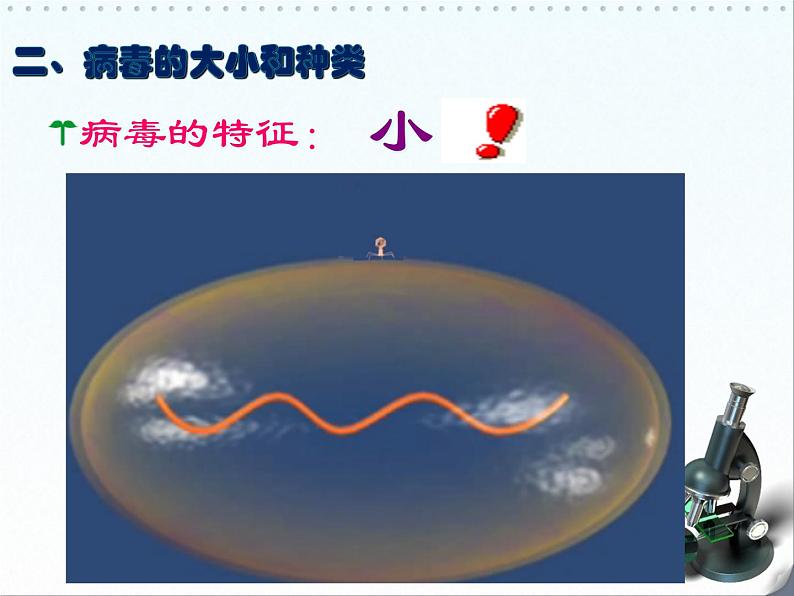 5.5 病毒课件PPT第5页