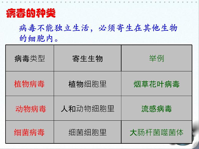 5.5 病毒课件PPT第7页