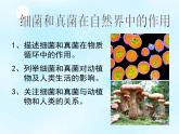 5.4.4 细菌和真菌在自然界中的作用课件PPT
