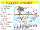 5.4.4 细菌和真菌在自然界中的作用课件PPT