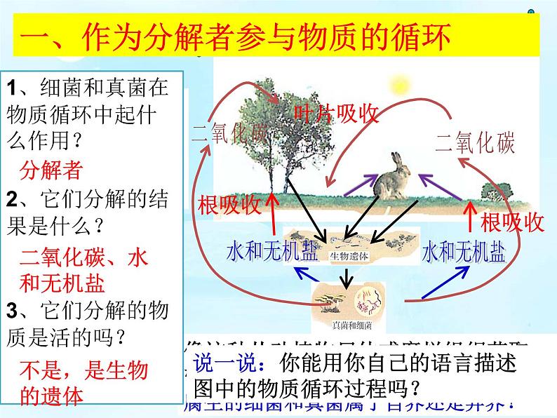 5.4.4 细菌和真菌在自然界中的作用课件PPT03