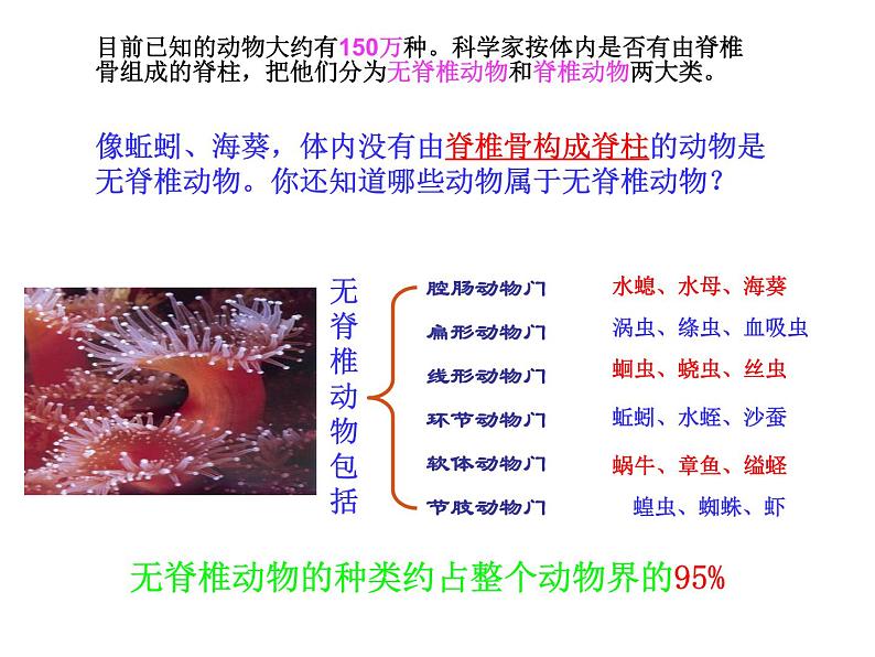 5.1.4鱼课件PPT03