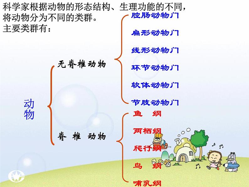 5.1.1腔肠动物和扁形动物课件PPT06