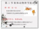 5.1.3软体动物和节肢动物课件PPT