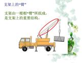 5.2.1动物的运动课件PPT