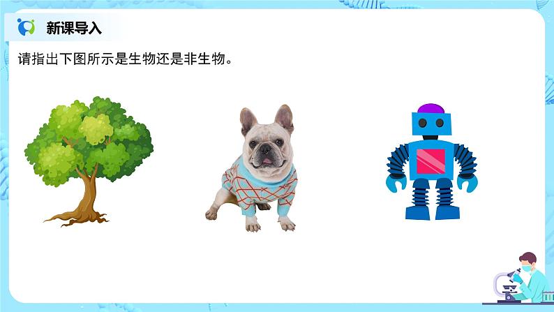 1.1.1《生物的特征》课件第3页