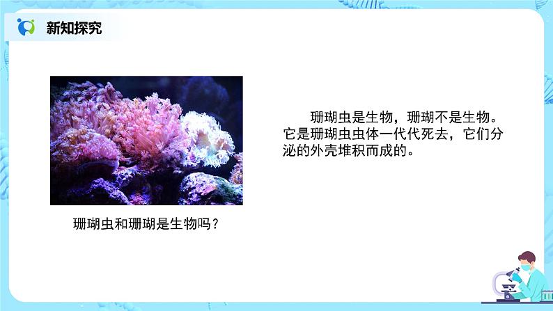 1.1.1《生物的特征》课件第6页