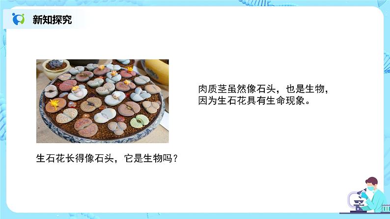 1.1.1《生物的特征》课件第7页