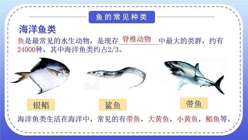 1.4《鱼类》教案+课件05