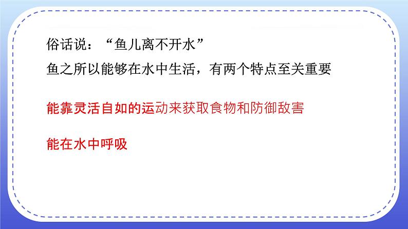 1.4《鱼类》教案+课件07