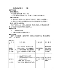 初中生物济南版七年级下册第二节 物质运输的器官教学设计