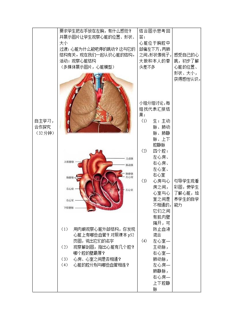 济南版七下生物 3.2物质运输的器官  教案第2页