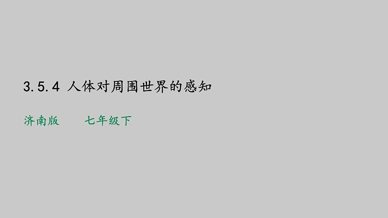 3-5-4人体对周围世界的感知课件济南版生物七年级下册第1页