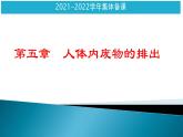 第四单元第五章人体内废物的排出课件人教版生物七年级下册