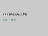 3-5-5神经系统的卫生保健课件2021--2022学年济南版七年级生物下册