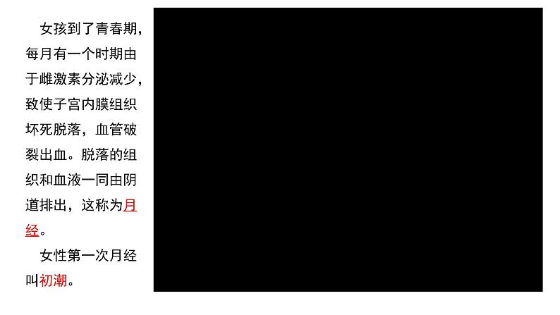 4-1-3青春期课件人教版生物七年级下册07