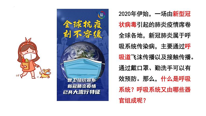 4-3-1呼吸道对空气的处理课件人教版生物七年级下册第2页