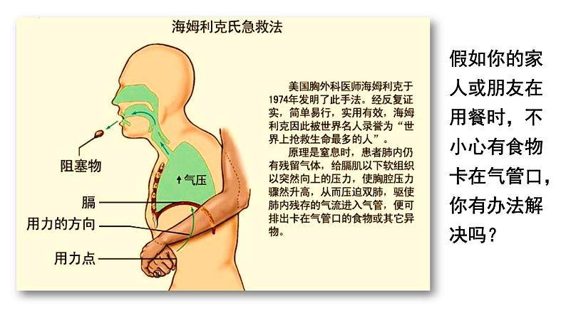 4-3-1呼吸道对空气的处理课件人教版生物七年级下册05