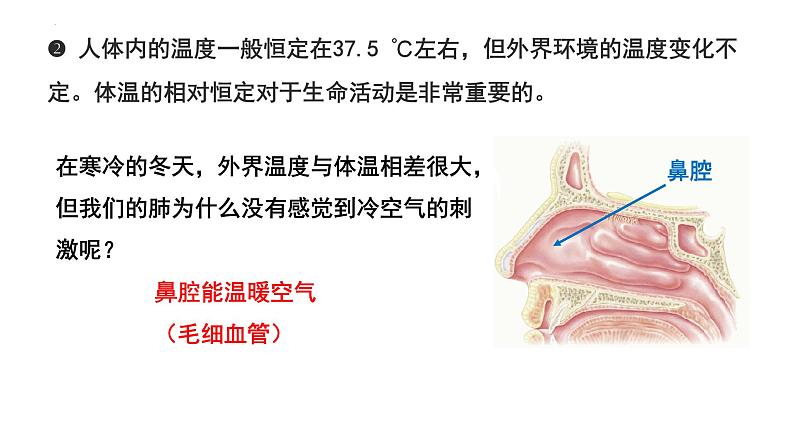 4-3-1呼吸道对空气的处理课件人教版生物七年级下册第8页