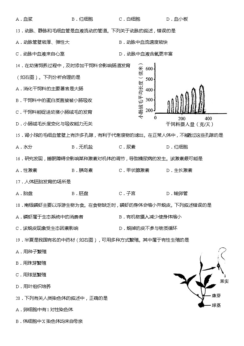 2022年北京市海淀区八年级下学期中考一模生物卷+答案第3页