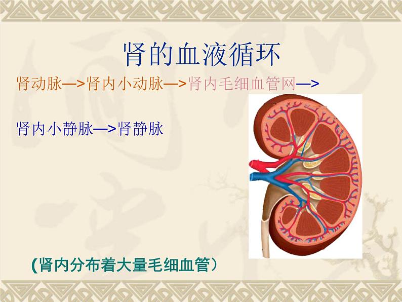 冀教版七年级下册生物 3.2排泄 课件第6页