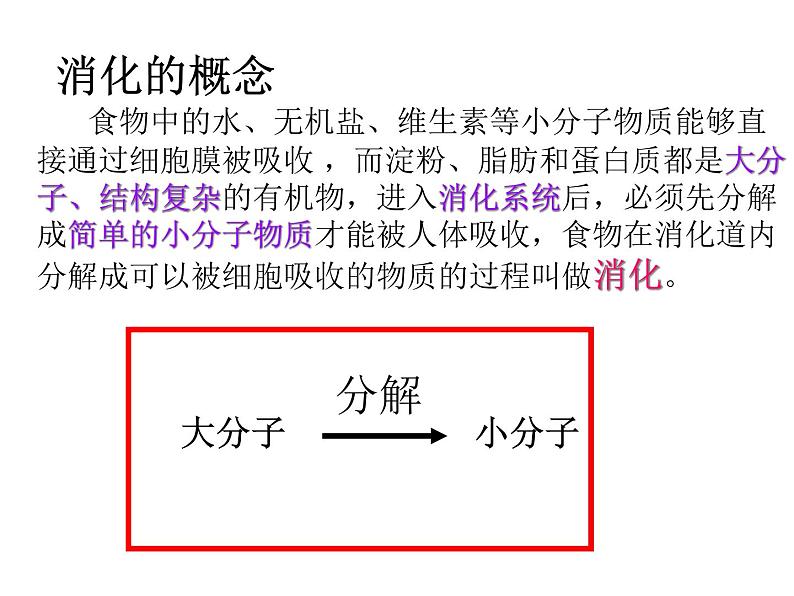 冀教版七年级下册生物 1.2食物的消化 课件第3页