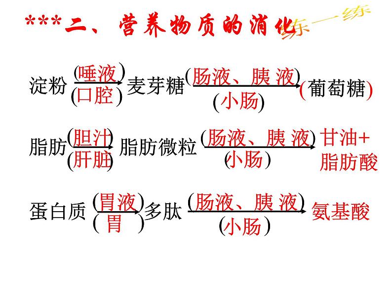 冀教版七年级下册生物 1.2食物的消化 课件第8页