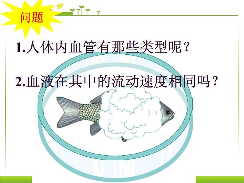 冀教版七年级下册生物 2.2物质运输的器官 课件第8页