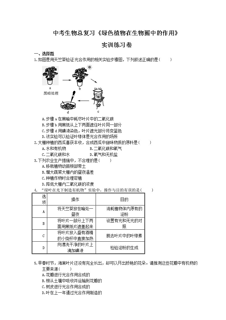中考生物总复习《绿色植物在生物圈中的作用》实训练习卷(含答案)01