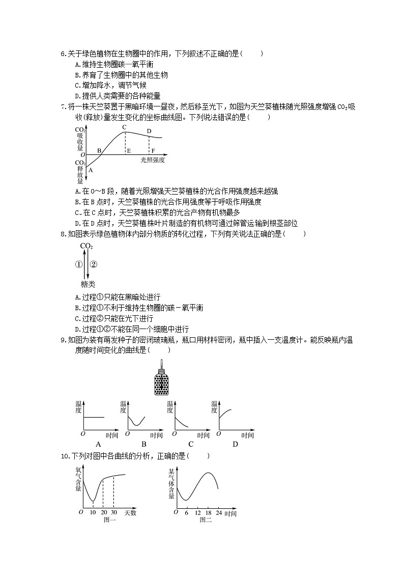 中考生物总复习《绿色植物在生物圈中的作用》实训练习卷(含答案)02